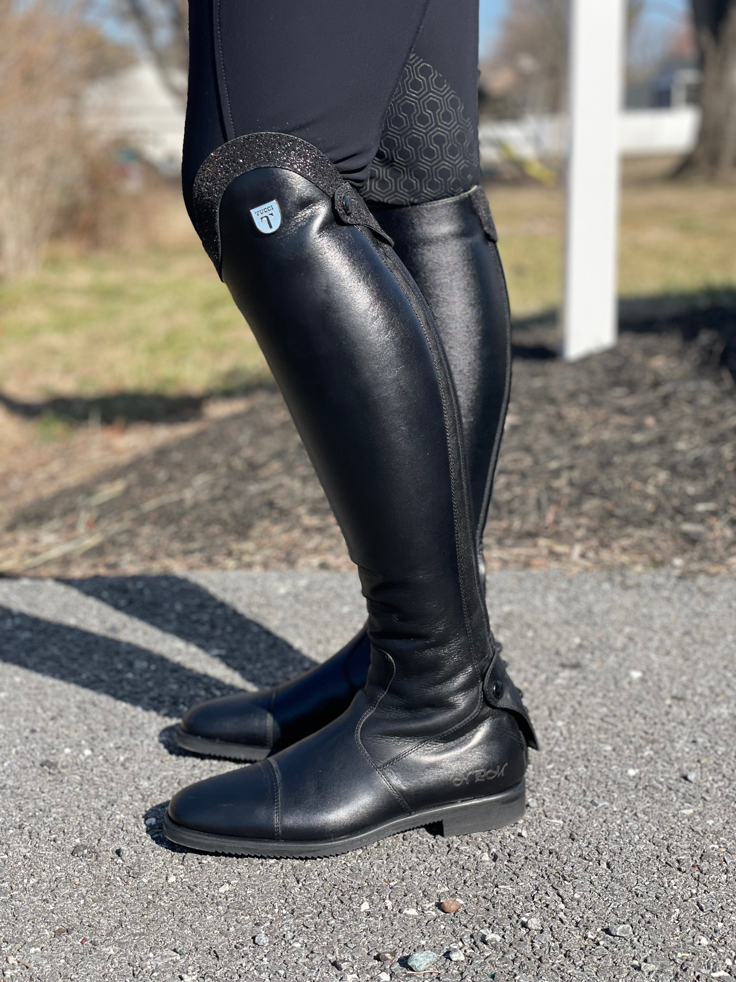 All About Equestrian