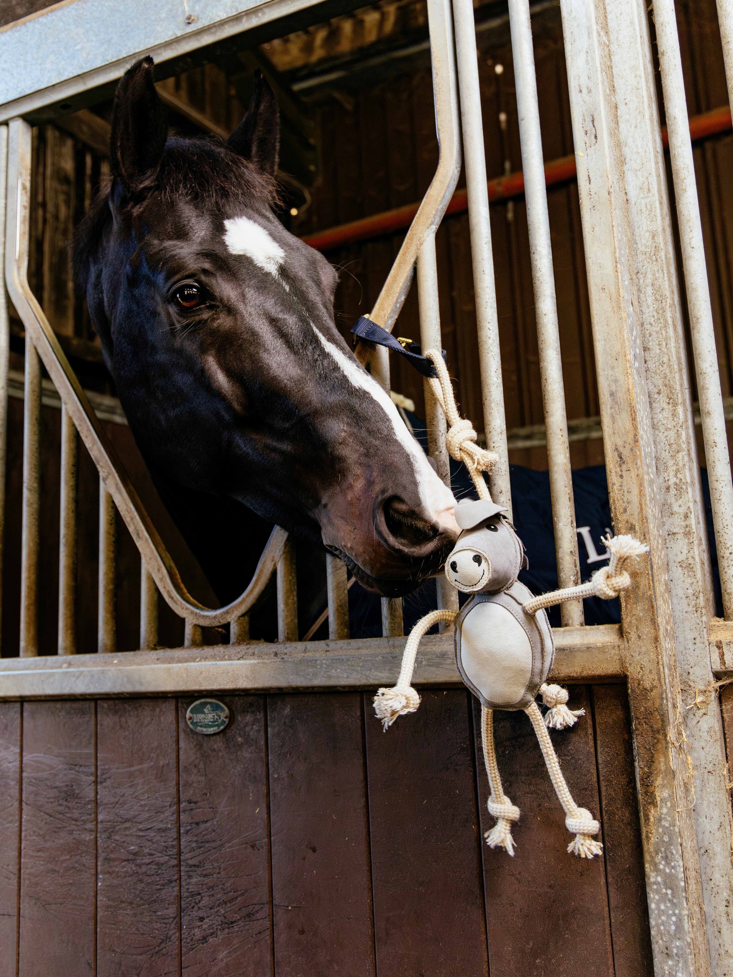 HORSE UAMOU 馬ウアモウ HORSE UAMOU / 馬ウアモウ｜UAMOU