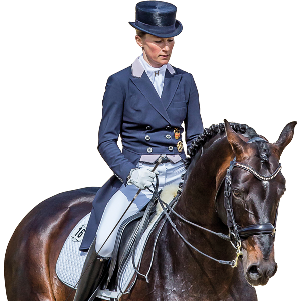 Bâton D'équitation Crop & Swagger - 24 Pouces - Cuir Vintage - Occasion