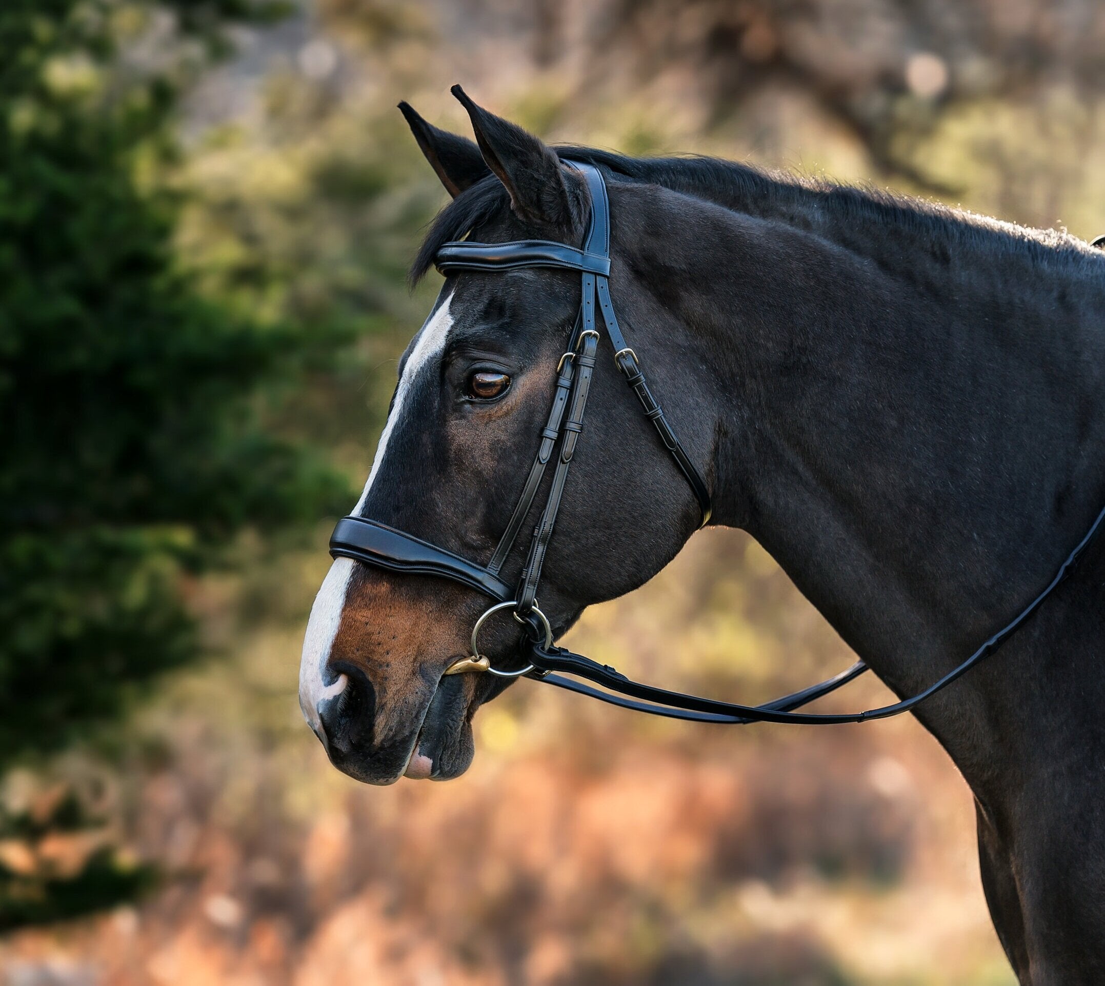 Nunn Finer All Leather Side Reins