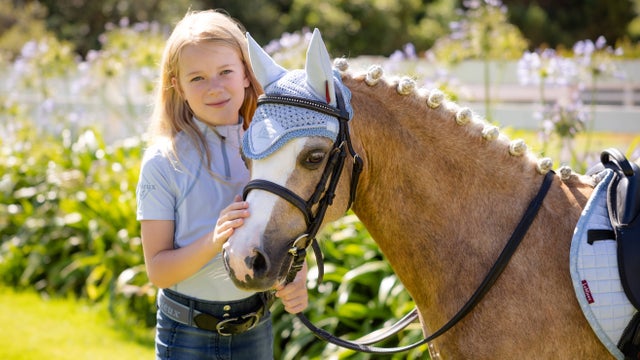 Lemieux Toy Pony Fly Hood Sienna, Fig, Marine, Chilli, Azzurro, Blu Pavone,  Azzurro, Mini Pony : : Prodotti per animali domestici